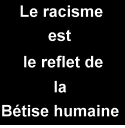 STOP o racisme